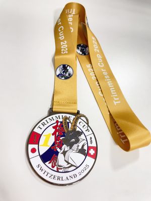 Swimming Club Ocean Metal Custom Medals Sports Personalised Sports Day Medals