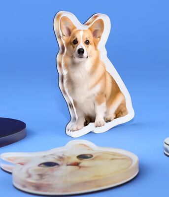 HAPPY GIFT Fabricación a medida Diseño de mascotas Magneto de refrigerador acrílico Anime personalizado Holográfico pegatina de plástico