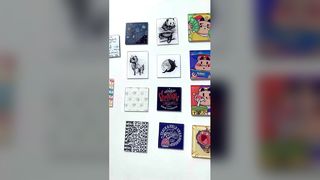 Los imanes de acrílico personalizados personalizados del refrigerador diseñan el imán animal lindo del refrigerador para el refrigerador D